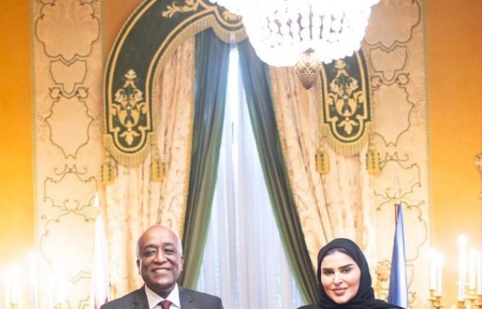 وزير الدولة للتعاون الدولي تجتمع مع نائبي وزيري الخارجية المصري والتركي