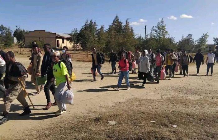 متمردون
      سابقون
      في
      صفوف
      «بوكو
      حرام»
      يسعون
      إلى
      «بداية
      جديدة»