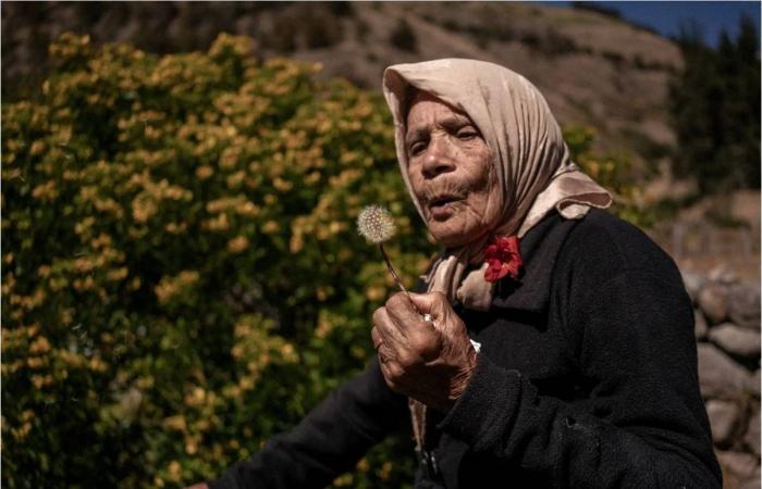 في
      سن
      الـ91...
      فنزويلية
      تحوِّل
      تقاليد
      النسج
      القديمة
      إلى
      فن
      معاصر