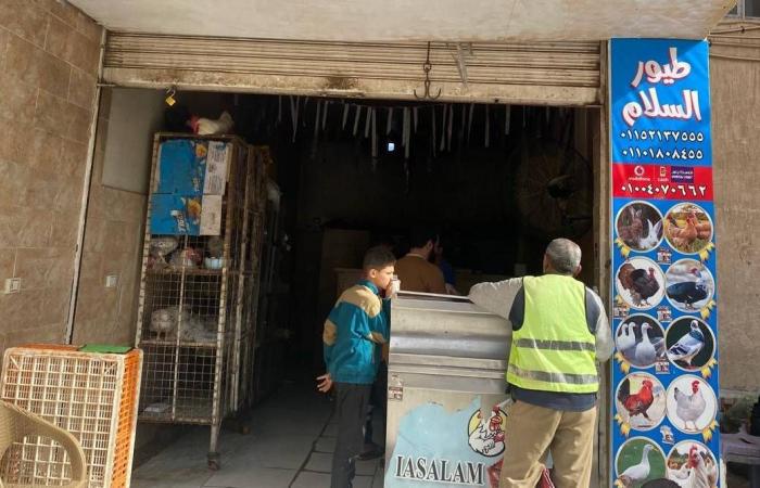 لماذا
      تحول
      انخفاض
      أسعار
      البيض
      والدجاج
      في
      مصر
      إلى
      «أزمة»؟
