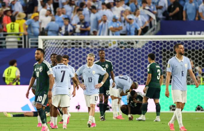 دورة
      هاله:
      فونسيكا
      يودع