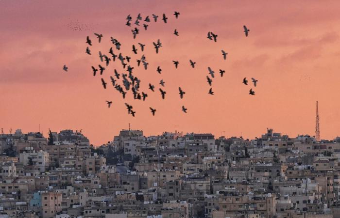 شوارع عمّان وأبنيتها.. مصوّرة أردنية توثّق ذاكرة المدينة